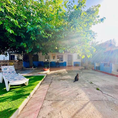 Estudio Adosado Acogedor Con Jardin, Barbacoa Y Parking Privado Alicante Exterior foto